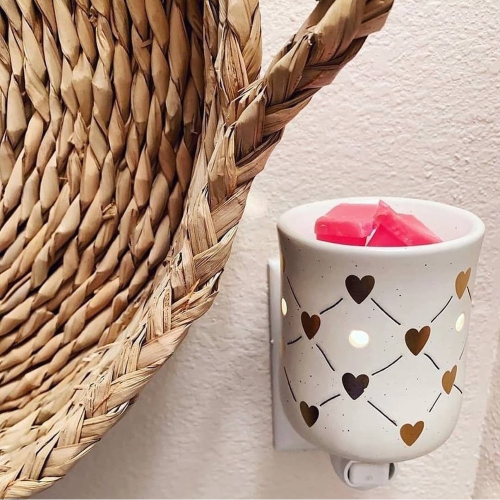 Scentsy mini wall plug in warmer. Love Connection
